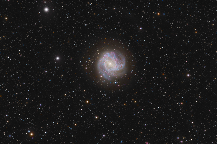 M 83
