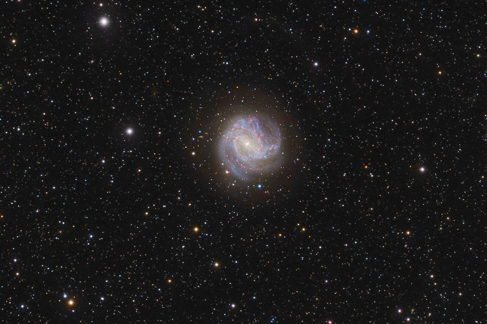 M 83
