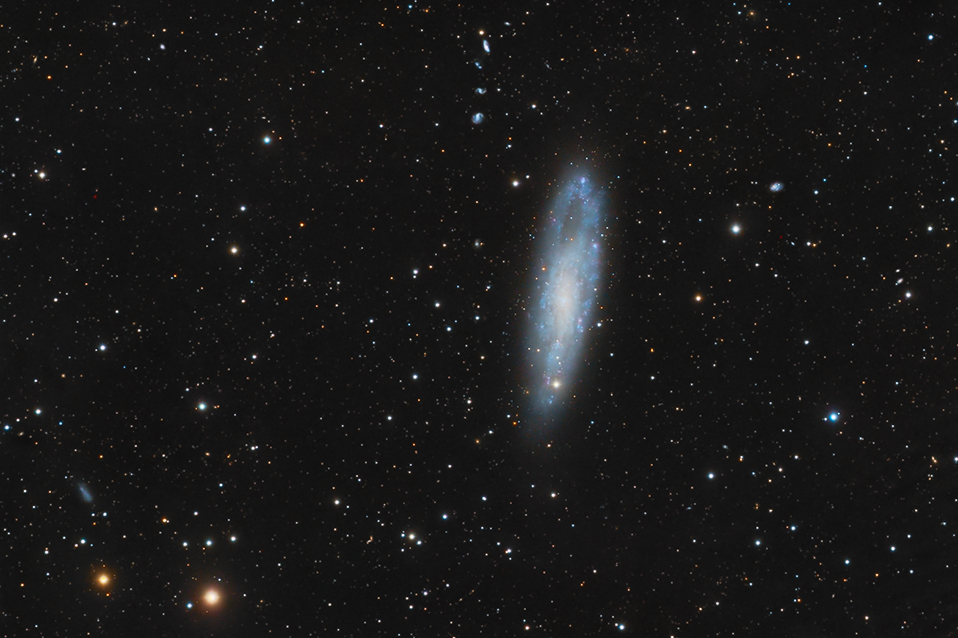 NGC 247