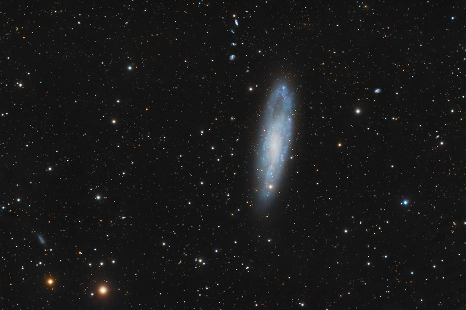 NGC 247