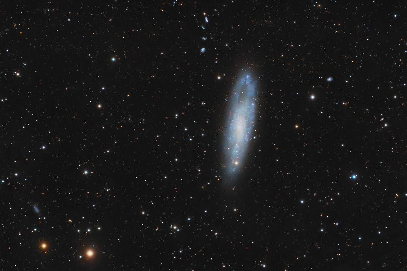 NGC 247